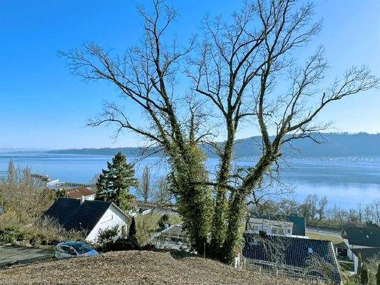 Optimale Südausrichtung für sonnendurchflutete Woh