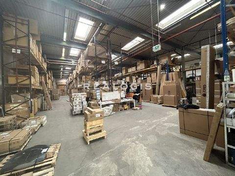 Wentorf Halle, Wentorf Hallenfläche