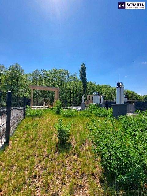 Kaltenleutgeben Wohnungen, Kaltenleutgeben Wohnung kaufen