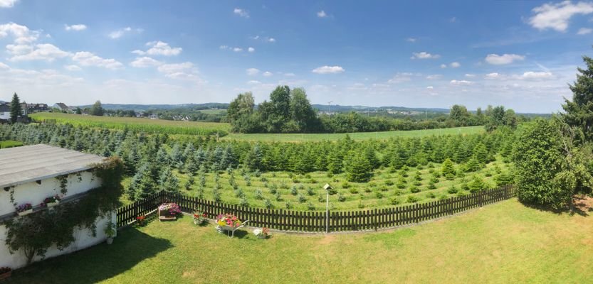 Ausblick