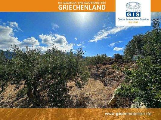 rückseitige Ansicht des Grundstücks