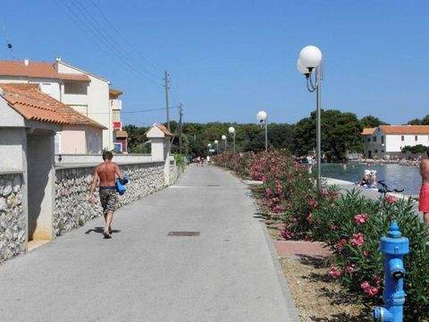 Centar Bauernhöfe, Landwirtschaft, Centar Forstwirtschaft