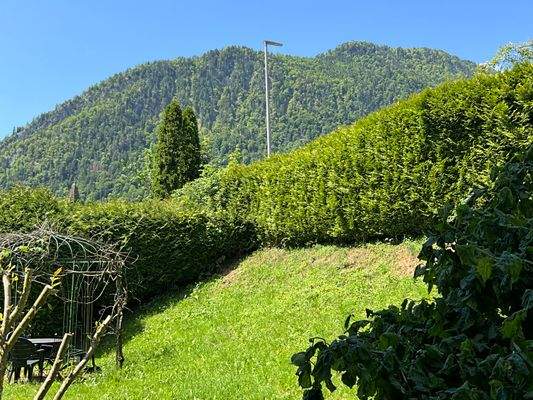 Ausblick