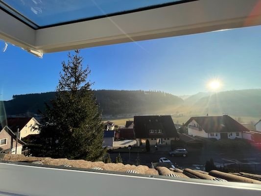 Blick aus dem Dachfenster