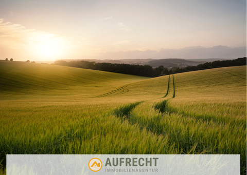 Röhrmoos Bauernhöfe, Landwirtschaft, Röhrmoos Forstwirtschaft