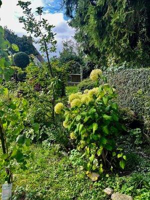 Gartenträume werden wahr