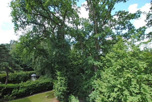 Ausblick Balkon