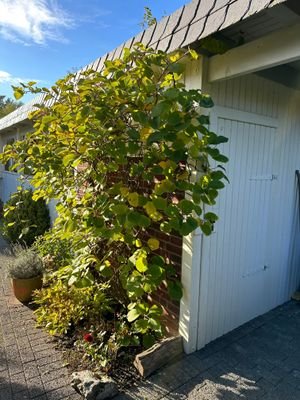 Carport seitlich