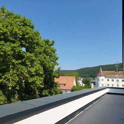 Ausblick