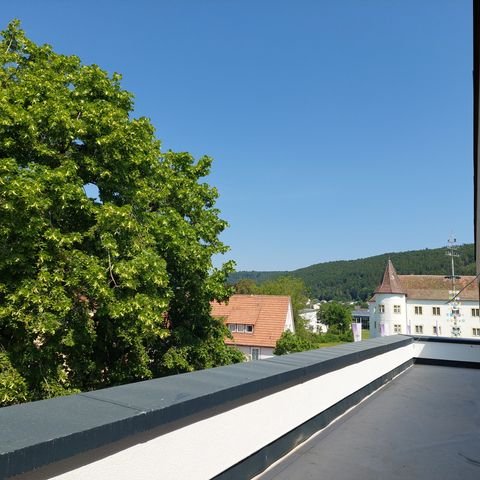Immendingen Wohnungen, Immendingen Wohnung mieten