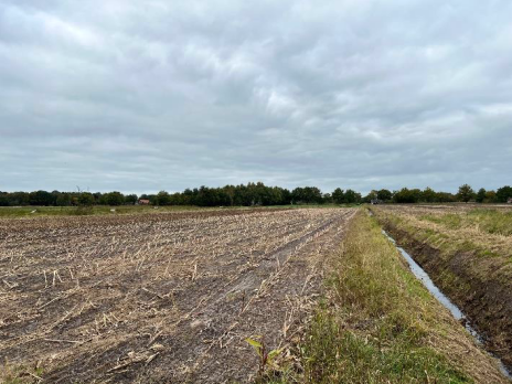 Ansicht von Südosten