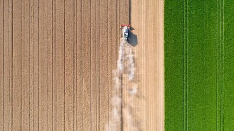 Euskirchen-Kleinbüllesheim Bauernhöfe, Landwirtschaft, Euskirchen-Kleinbüllesheim Forstwirtschaft