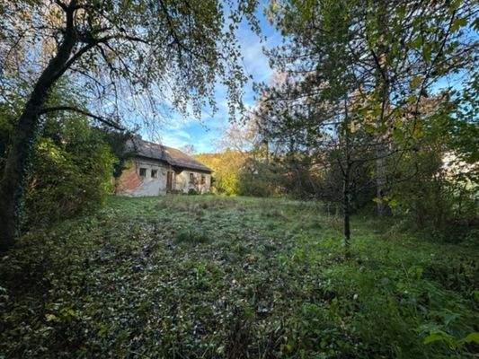 Eingang / Ostgrundstück