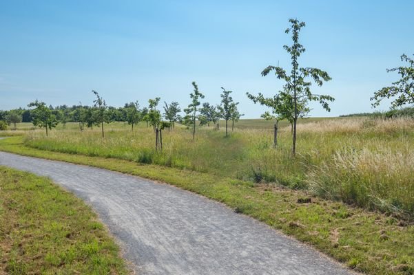 Naturschutzgebiet als Nachbarn
