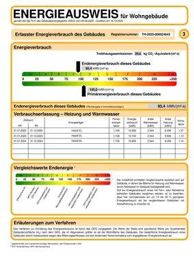 Auszug Energieausweis