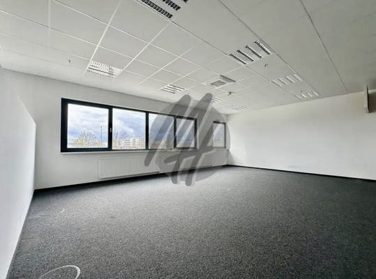 INFOS UNTER: 06171-586000