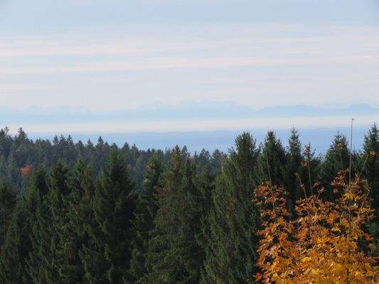 Fernsicht bis in die Alpen 
