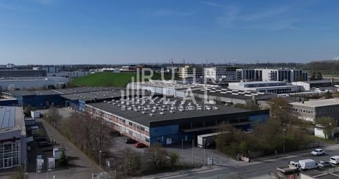 Monheim Halle, Monheim Hallenfläche