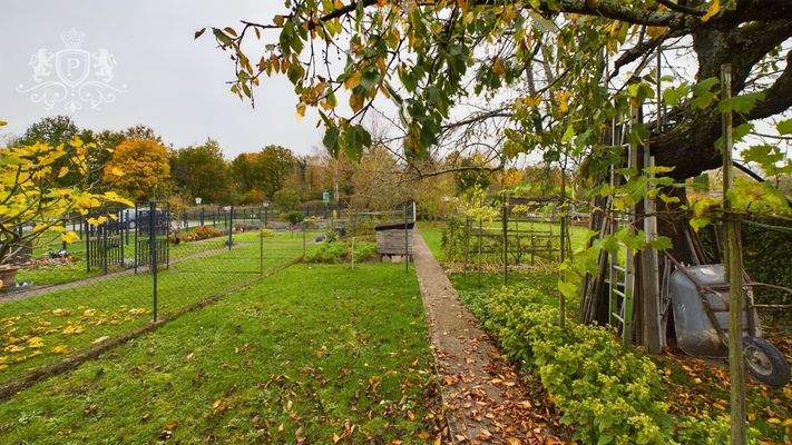 CAM01984G0-PR0434-STILL013