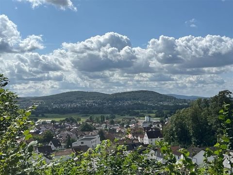 Geiselbach Wohnungen, Geiselbach Wohnung kaufen