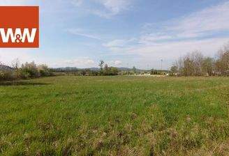 Blick über das Grundstück