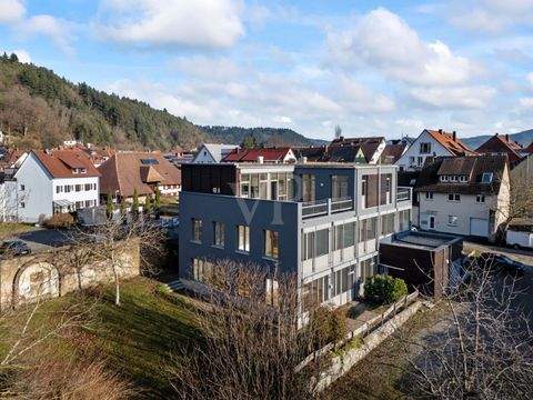 Freiburg im Breisgau / Ebnet Renditeobjekte, Mehrfamilienhäuser, Geschäftshäuser, Kapitalanlage