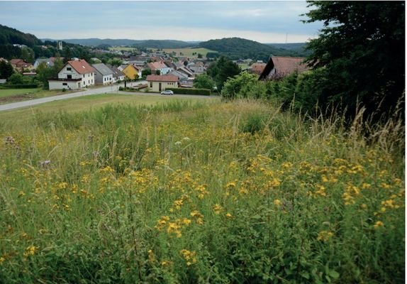 Blick aus südwestlicher Richtung in das Plangebiet
