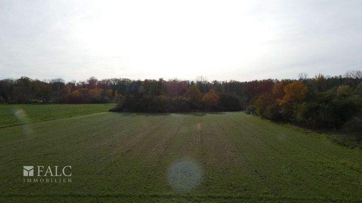 Blick über das Feld