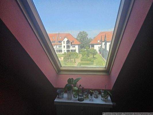 Blick aus dem Küchenfenster