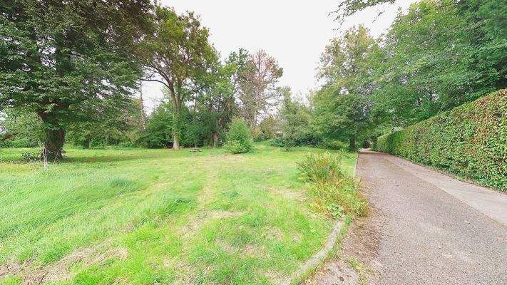 Außenanlage Einfahrt