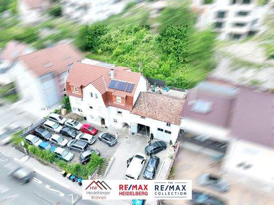 WhatsApp Image 2025-05-19 at 12.13.16