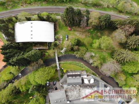 Bad Laasphe Halle, Bad Laasphe Hallenfläche