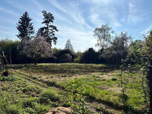 WhatsApp Bild 2025-04-19 um 17.15.31_015b14e3.jpg