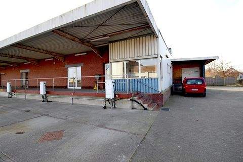 Wurster Nordseeküste Halle, Wurster Nordseeküste Hallenfläche