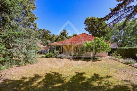 Werneuchen Häuser, Werneuchen Haus kaufen