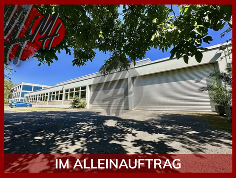 Neu-Isenburg Halle, Neu-Isenburg Hallenfläche