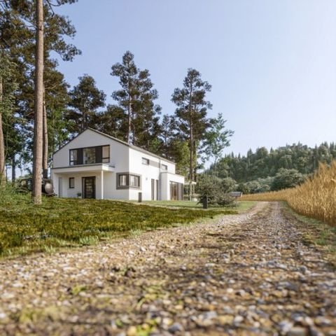 Braunsbedra Häuser, Braunsbedra Haus kaufen