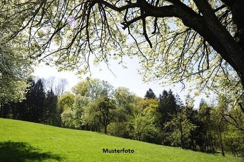 Hüttlingen Bauernhöfe, Landwirtschaft, Hüttlingen Forstwirtschaft