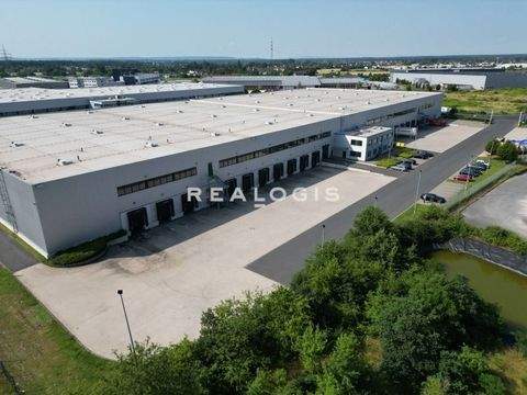 Alzenau Halle, Alzenau Hallenfläche