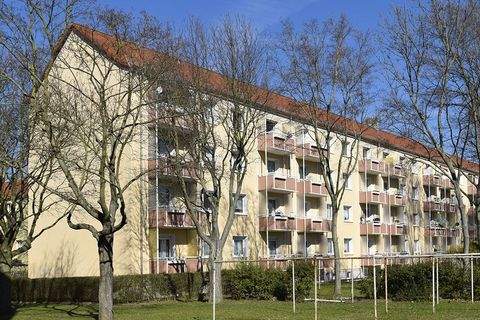 Halle (Saale) Wohnungen, Halle (Saale) Wohnung mieten