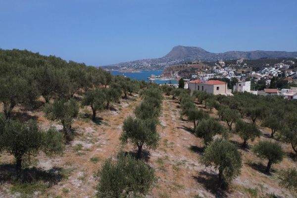 Kreta, Kalyves: Weitläufiges Grundstück mit Meerblick zu verkaufen