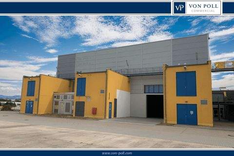 Arnstadt Halle, Arnstadt Hallenfläche