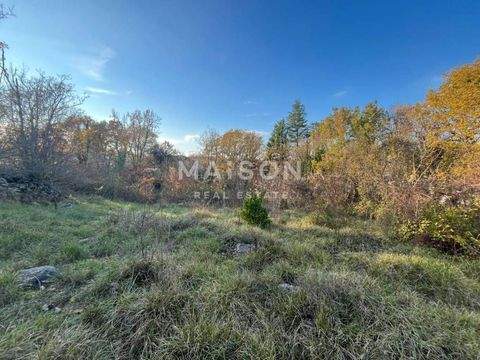 Malinska-Dubasnica Bauernhöfe, Landwirtschaft, Malinska-Dubasnica Forstwirtschaft