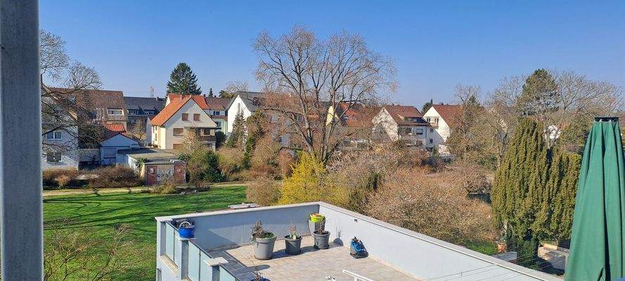 Blick in den Park und zu Sonne