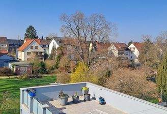 Blick in den Park und zu Sonne