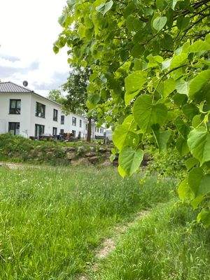 PHOTO-2023-05-26-14-30-02