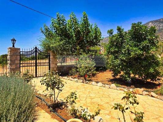 img_9cc78b24-0eaf-43ba-a3e8-ff9274ae8efe