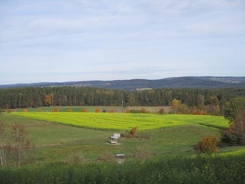 Neunburg vorm Wald Bauernhöfe, Landwirtschaft, Neunburg vorm Wald Forstwirtschaft