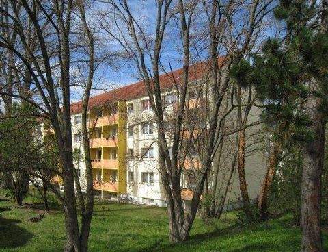 Weißenfels Wohnungen, Weißenfels Wohnung mieten