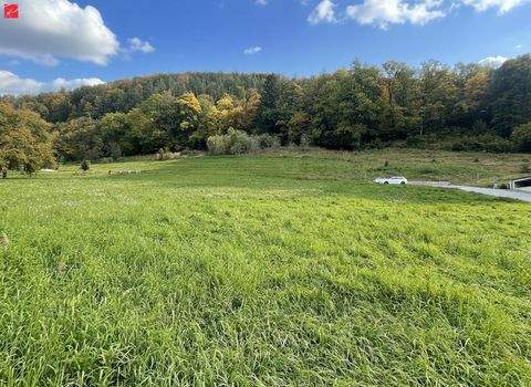 Graz Grundstücke, Graz Grundstück kaufen